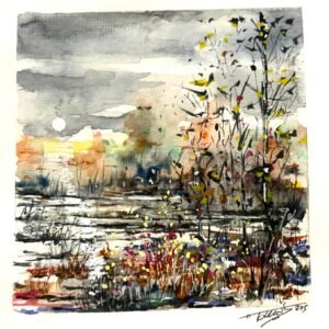 Capvespre als aiguamolls