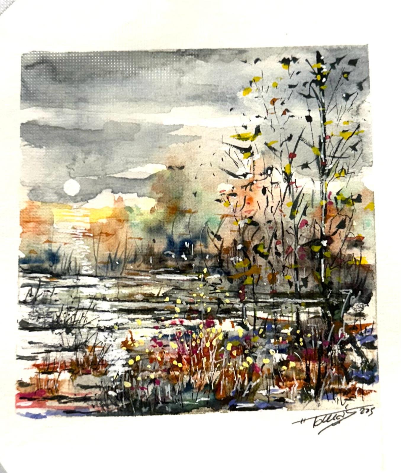 Capvespre als aiguamolls