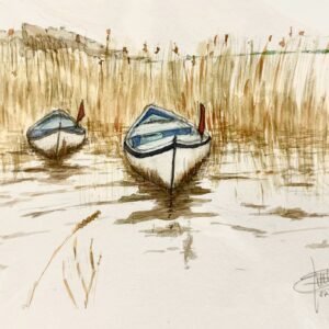 Barques al canyissar