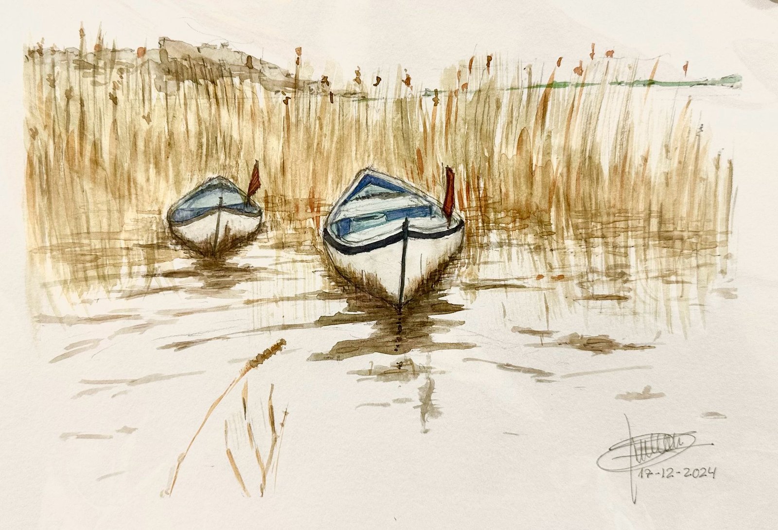 Barques al canyissar